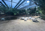 Hellabrunn Zoo