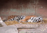 Hellabrunn Zoo