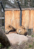 Hellabrunn Zoo