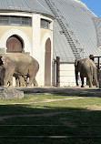 Hellabrunn Zoo