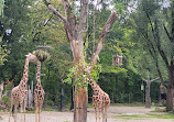 Hellabrunn Zoo