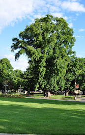 Belmore Park