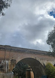 Goulburn Wetlands