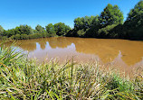 Goulburn Wetlands