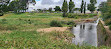 Marsden Weir Park