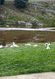 Marsden Weir Park