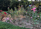 Wallbridge Rose Garden