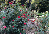 Wallbridge Rose Garden