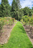 Brookdale Park Rose Garden