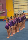 Gymnastic World