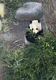 Copenhagen Zoo