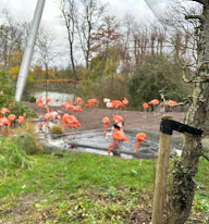 Copenhagen Zoo