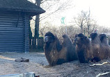 Copenhagen Zoo