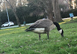 Garden City Park Lagoon