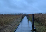 Lammassaari Nature Boardwalk