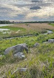 Hakala Birdwatching Tower