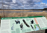 Hakala Birdwatching Tower