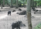 Wildpark Alte Fasanerie