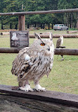 Wildpark Alte Fasanerie