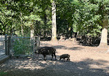 Wildpark Alte Fasanerie