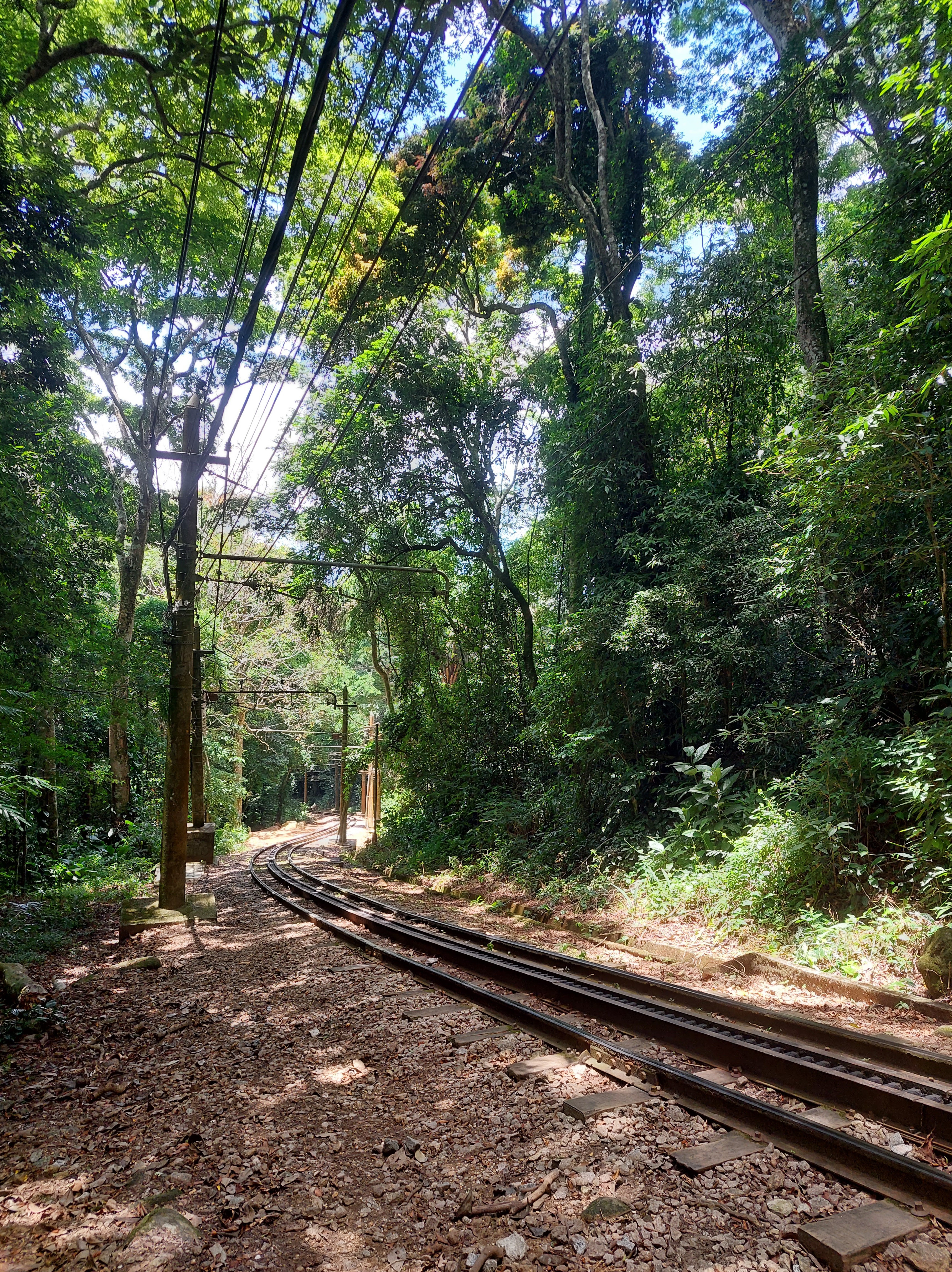 Parque Lage'den Corcovado Yolu'na