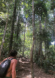 Parque Lage'den Corcovado Yolu'na