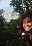 Trilha Parque Lage to Corcovado