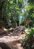 Parque Lage'den Corcovado Yolu'na