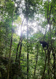 Trilha Parque Lage to Corcovado