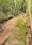 Trilha Parque Lage to Corcovado