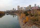 Walterdale Bridge