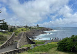 Little Blowhole