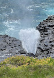 Little Blowhole