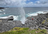 Little Blowhole