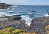 Little Blowhole