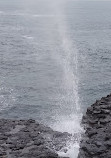 Little Blowhole