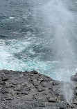 Little Blowhole