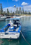 Kiama Harbour