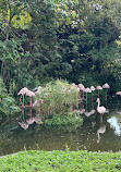 Taipei Zoo