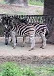 Taipei Zoo