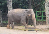 Taipei Zoo