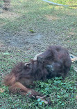 Taipei Zoo