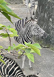 Taipei Zoo