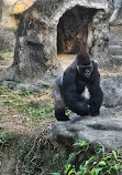 Taipei Zoo