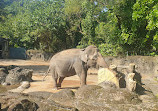 Taipei Zoo