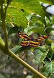 Taipei Zoo