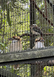 Taipei Zoo