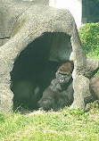 Taipei Zoo