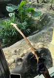 Taipei Zoo