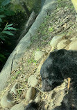 Taipei Zoo